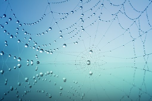 不可以免征個人所得稅的福利費(fèi)項目有哪些?