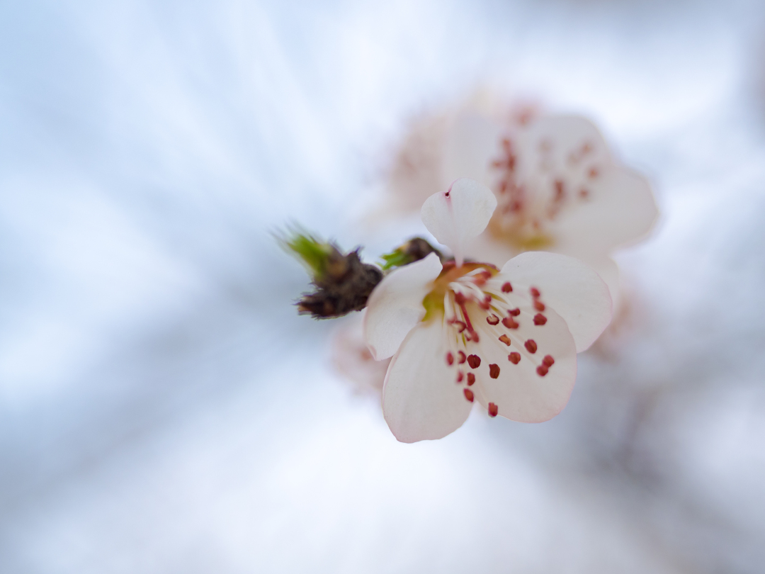 企業(yè)福利平臺(tái)：?jiǎn)T工工齡怎么算?