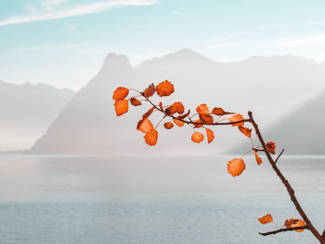 員工更希望領(lǐng)導(dǎo)能夠激勵他們,而不是打擊他們