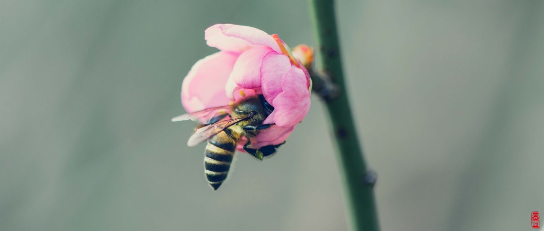 選擇什么福利才讓員工滿(mǎn)意