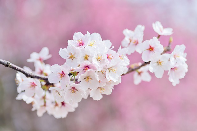 企業(yè)福利平臺(tái)：?jiǎn)T工激勵(lì)的錯(cuò)誤觀念