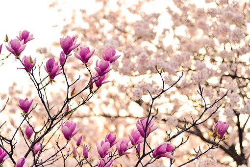企業(yè)福利如何設(shè)計(jì),才能平衡企業(yè)內(nèi)部矛盾?