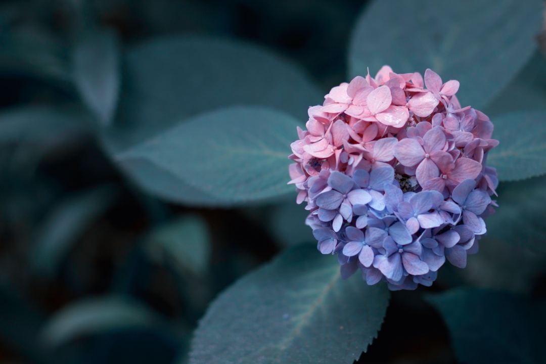 員工福利平臺(tái)：職工健康體檢要花費(fèi)多少錢？