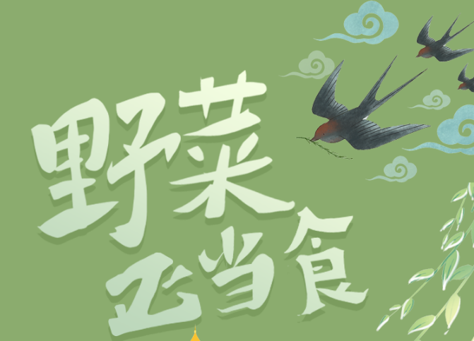 福利plus|野菜正當(dāng)“食”，當(dāng)心別采錯(cuò)了！
