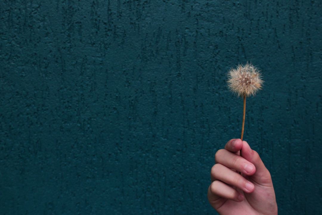 元旦員工福利：關(guān)愛員工的溫暖禮物