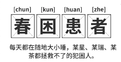 福利plus|打工人續(xù)命指南：提神零食清單+5分鐘暴汗操，一鍵領(lǐng)取！